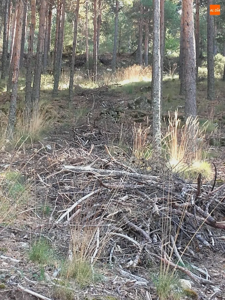 Foto 2 - Vecinos denuncian restos de podas abandonados en la comarca