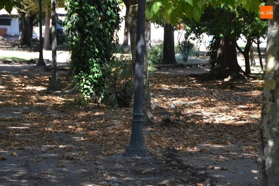 Foto 2 - 1Foto: El oto&ntilde;o no se hace de rogar en La Florida  
