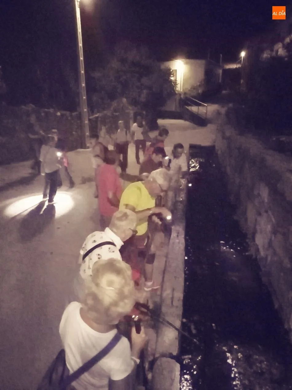 Foto 3 - Acasife celebra una entretenida marcha nocturna en Valdefuentes de Sangus&iacute;n