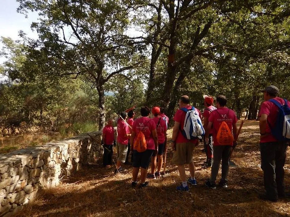 Foto 3 - Voluntarios ambientales de Tamames crean nidos para p&aacute;jaros en la Casa del Parque