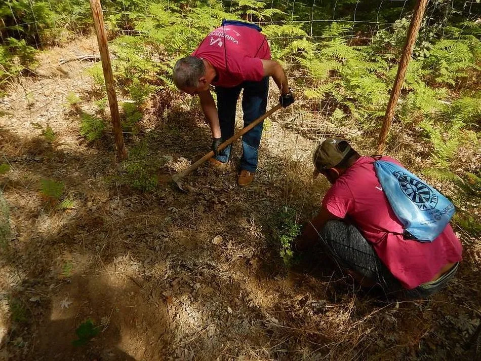 Foto 2 - Voluntarios ambientales de Tamames crean nidos para p&aacute;jaros en la Casa del Parque
