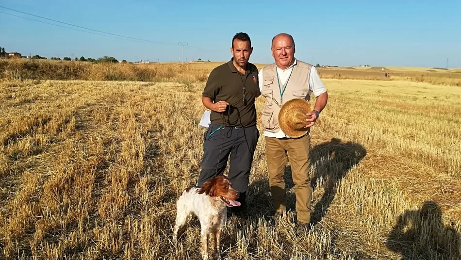 El bretón Herbert de Kronnellar con su conductor Javier Núñez y su propietario Joan Capó