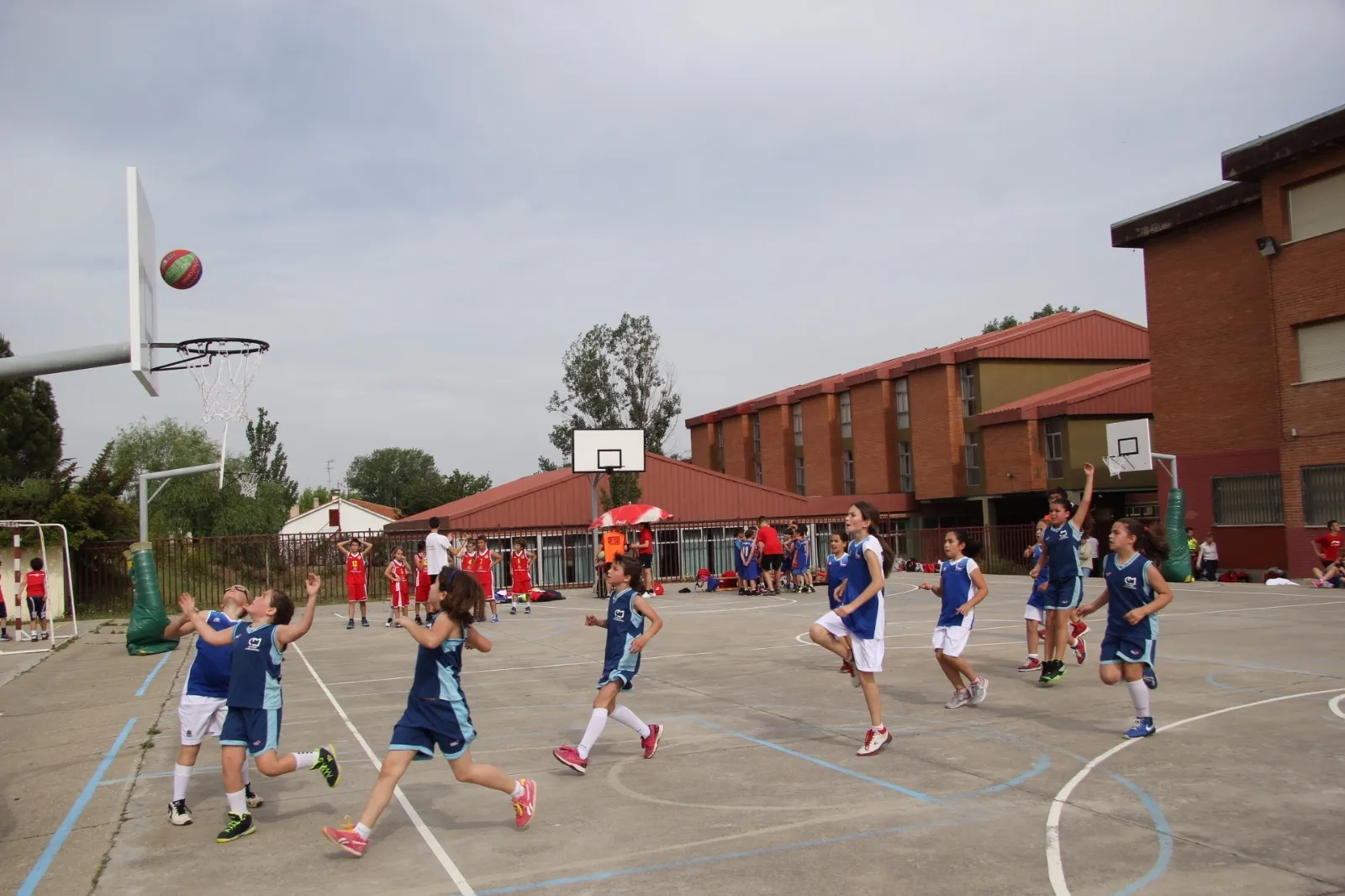 Niños realizan deporte en las Escuelas Deportivas de Baloncesto