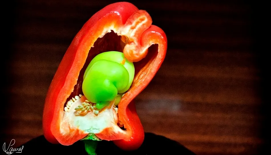 Maravillosa sencillez