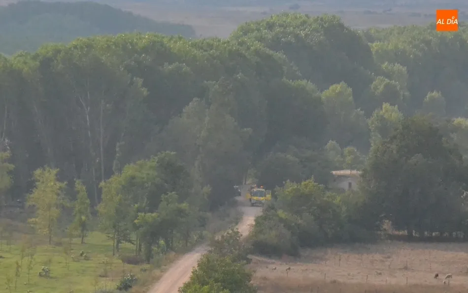 Foto 7 - Declarado un incendio forestal en el camino que lleva al Paraje  