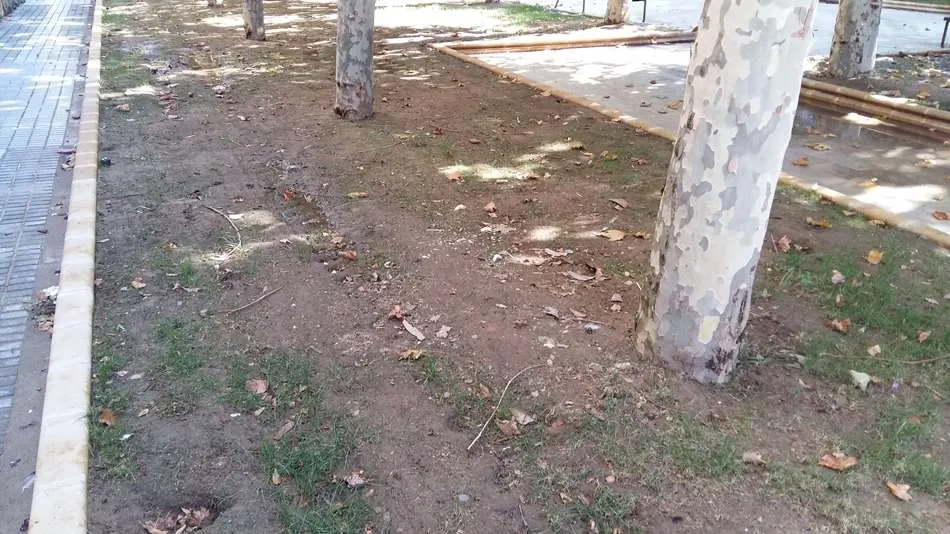 Foto 3 - El PSOE califica de &ldquo;chapuza&rdquo; las obras en las plazas interiores del barrio de San Jos&eacute;