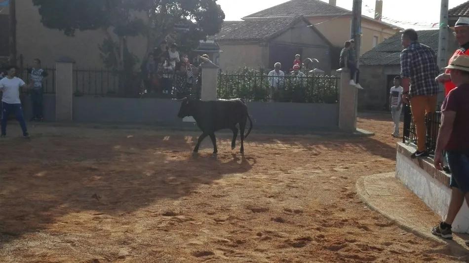 Este año no coinciden con otras fiestas, y va a estar bien, va a haber gente  