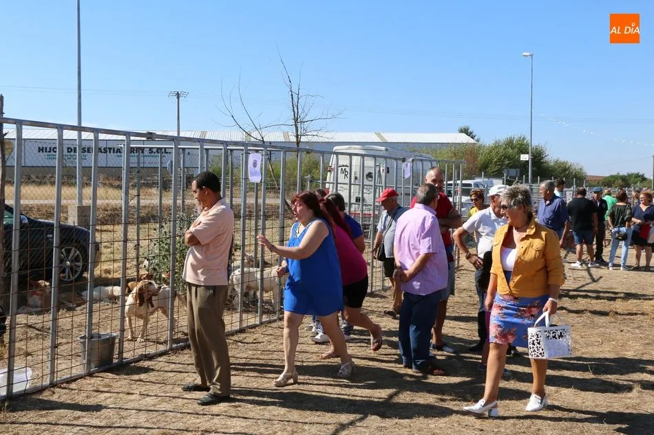 Foto 10 - La Feria de Artesan&iacute;a y Alimentaci&oacute;n, y la Feria Canina de Villar de Peralonso se consolidan  