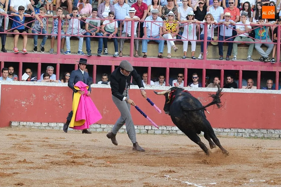 Foto 11 - Un fascinante festival taurino pone la guinda al d&iacute;a grande de las fiestas