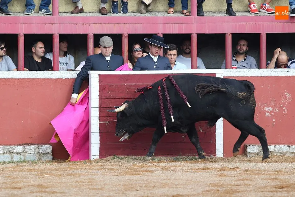 Foto 8 - Un fascinante festival taurino pone la guinda al d&iacute;a grande de las fiestas
