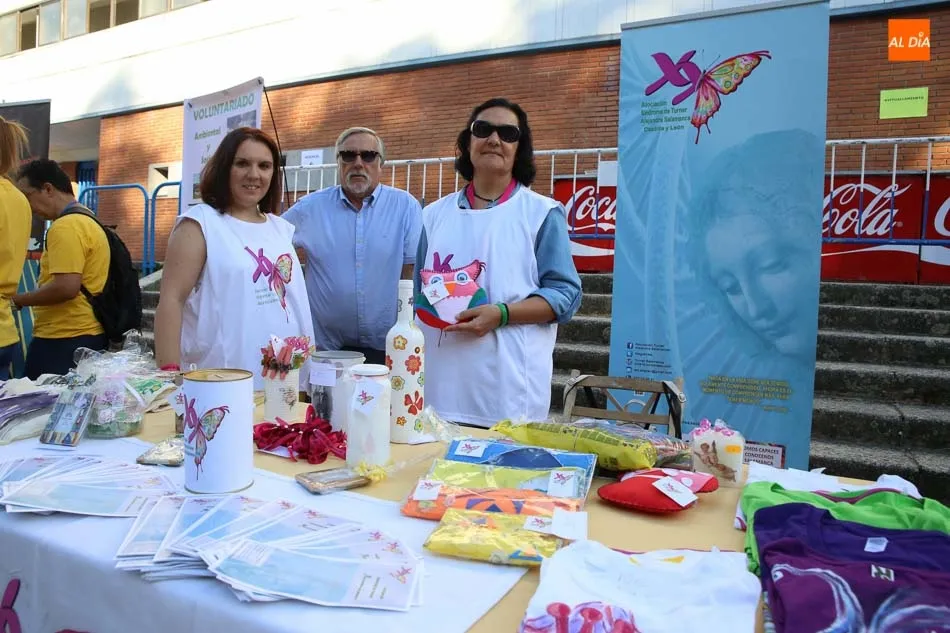 Foto 7 - M&aacute;s de 20 colectivos del &aacute;mbito del voluntariado exhiben su trabajo en La Alamedilla  