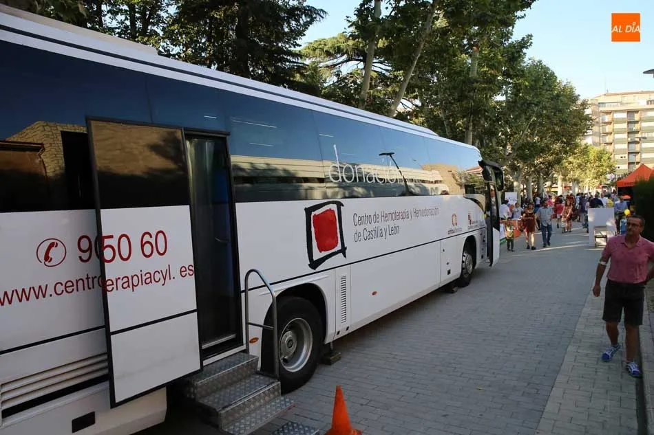 Foto 3 - M&aacute;s de 20 colectivos del &aacute;mbito del voluntariado exhiben su trabajo en La Alamedilla  