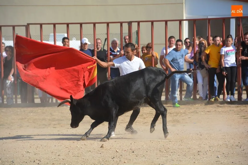 Foto 6 - Encierro tradicional para poner el broche final a las fiestas de San Miguel  