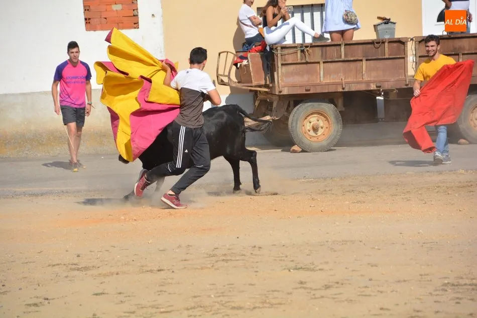 Foto 5 - Encierro tradicional para poner el broche final a las fiestas de San Miguel  
