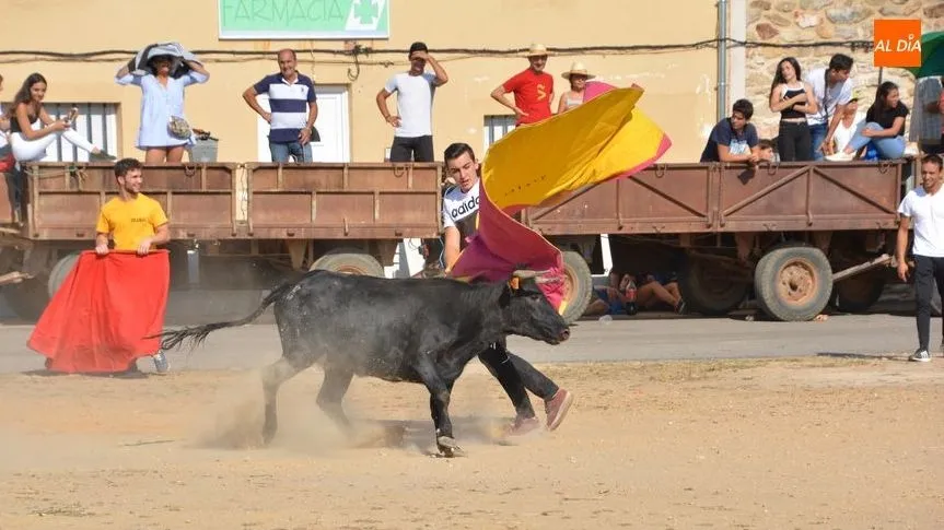 Un jóven toreando la tercera vaca en Santiz/ Foto: Lydia González