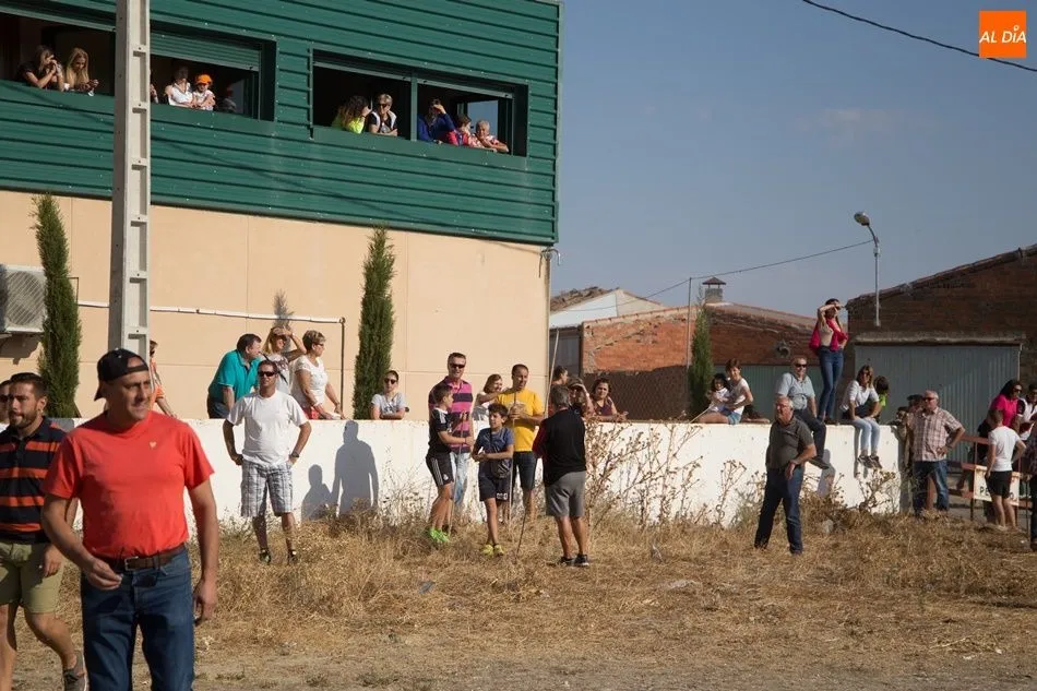 Foto 9 - Vistoso encierro campero en Tarazona de Guare&ntilde;a