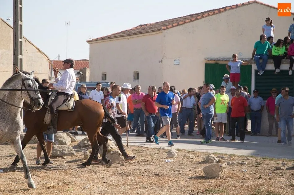 Foto 7 - Vistoso encierro campero en Tarazona de Guare&ntilde;a