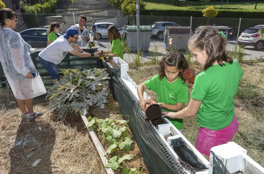 Foto 2 - Iberdrola celebra el D&iacute;a Internacional del Voluntariado con seis&nbsp;acciones  