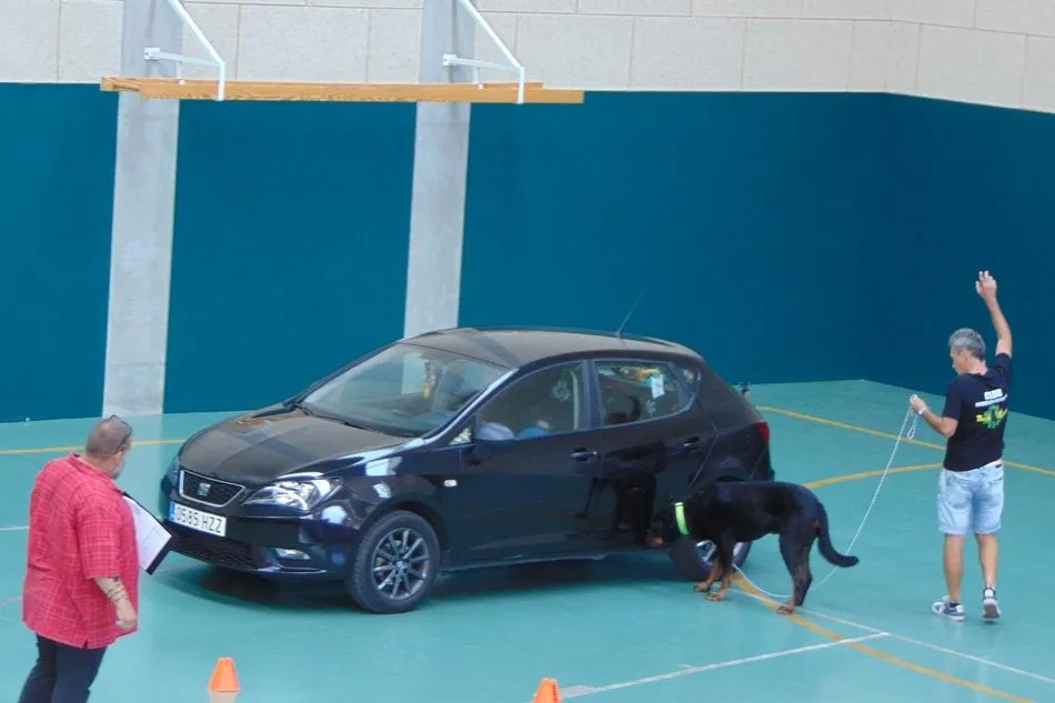Foto 4 - &Eacute;xito de la III Copa Albadekan de detecci&oacute;n deportiva  