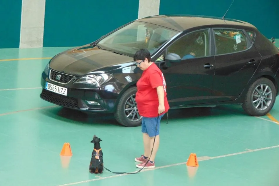 Foto 3 - &Eacute;xito de la III Copa Albadekan de detecci&oacute;n deportiva  