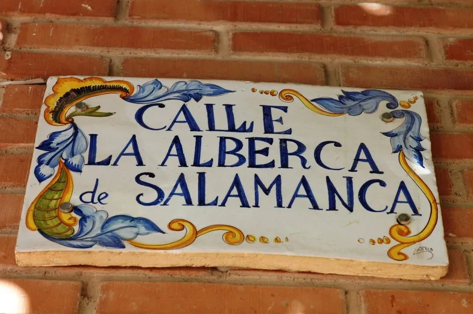 Foto 2 - Albercas hermanadas