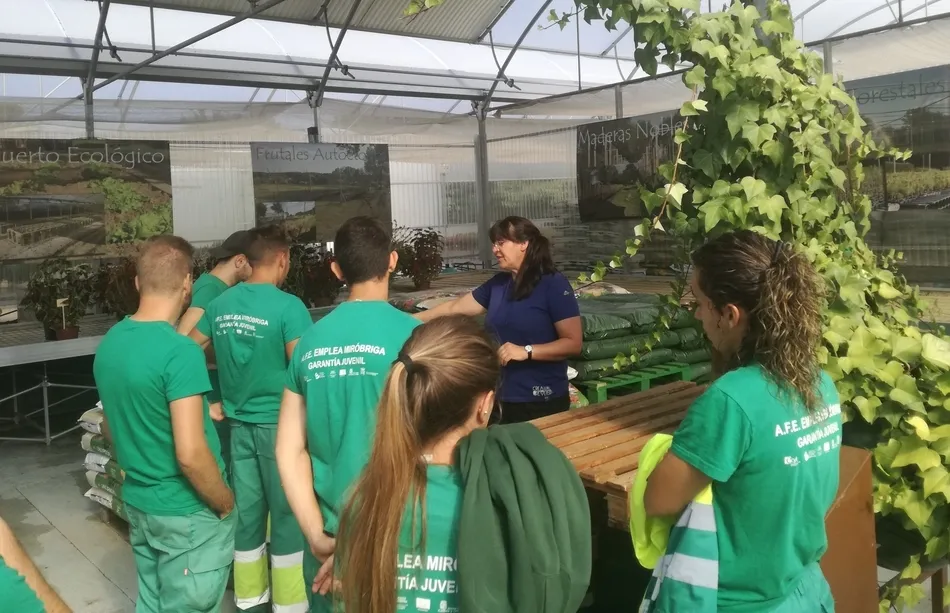 Foto 3 - Los alumnos de Emplea Mir&oacute;briga visitan el centro de jardiner&iacute;a de Asprodes  