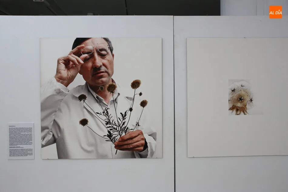 Foto 9 - &lsquo;Flora Humilis&rsquo;, las relaciones del ayer y del hoy entre la humanidad y los vegetales