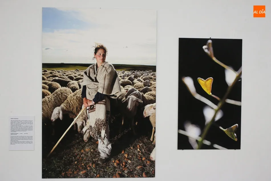 Foto 3 - &lsquo;Flora Humilis&rsquo;, las relaciones del ayer y del hoy entre la humanidad y los vegetales