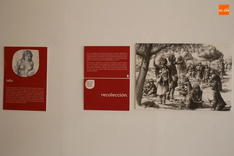Foto 10 - La Semana de la Lactancia Materna comienza con una exposici&oacute;n del ilustrador cient&iacute;fico Eduardo...