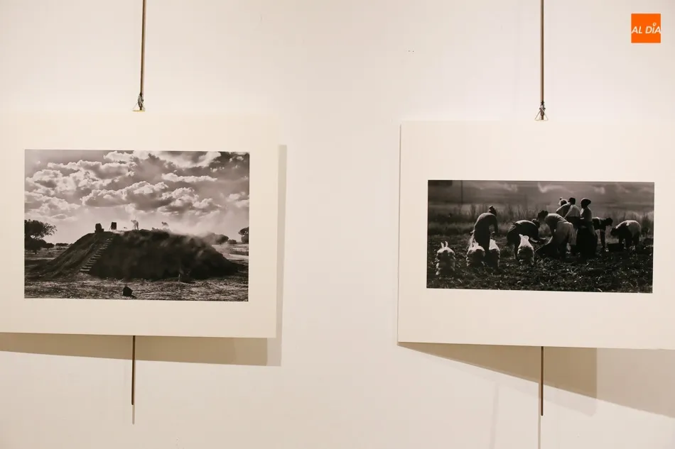 Foto 11 - Luis Carlos Santiago Mart&iacute;n ense&ntilde;a sus &lsquo;Miradas Rurales&rsquo; en el Espacio Joven