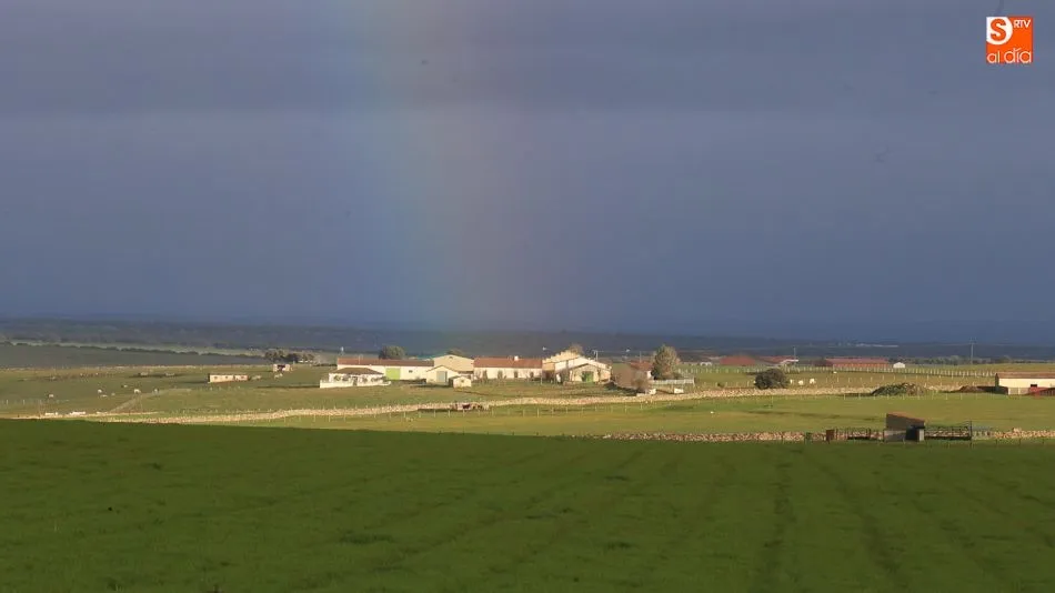 Agricultores y ganaderos recibirán a partir de la próxima semana el primer pago de la PAC. Foto: Alberto Martín