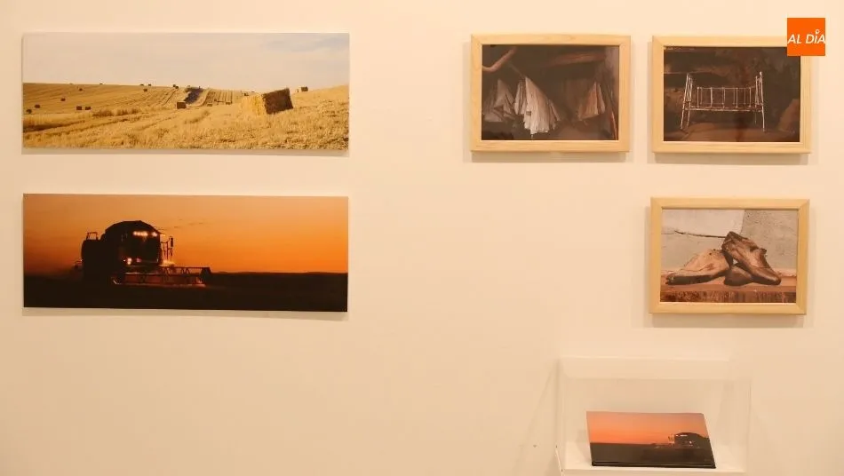 Algunas de las obras expuestas en la Sala 5 del Da2. Foto de Alberto Martín