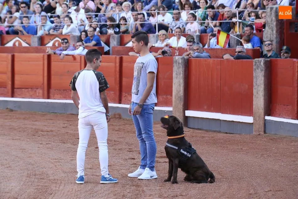 Foto 9 - La Guardia Civil despliega toda su pericia ante los salmantinos con una exhibici&oacute;n en la Plaza de...