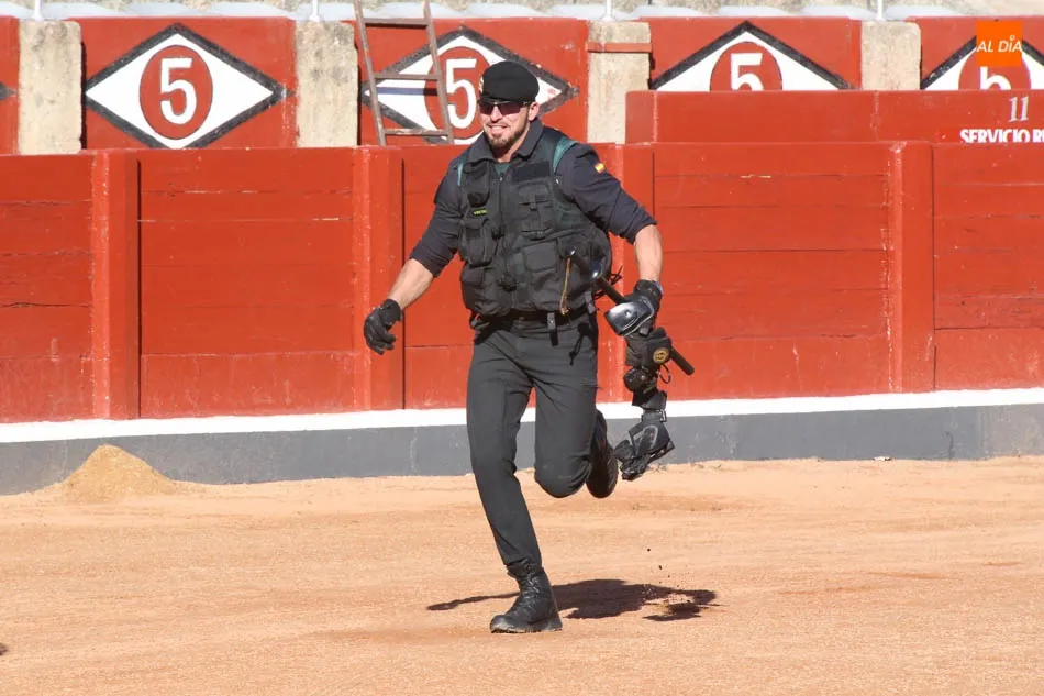 Foto 4 - La Guardia Civil despliega toda su pericia ante los salmantinos con una exhibici&oacute;n en la Plaza de...