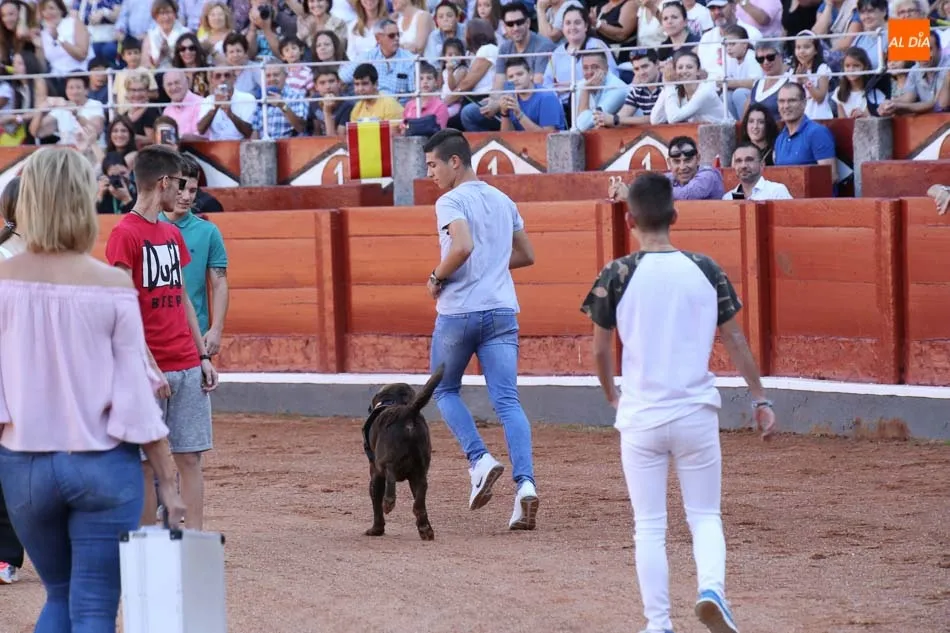 Foto 3 - La Guardia Civil despliega toda su pericia ante los salmantinos con una exhibici&oacute;n en la Plaza de...