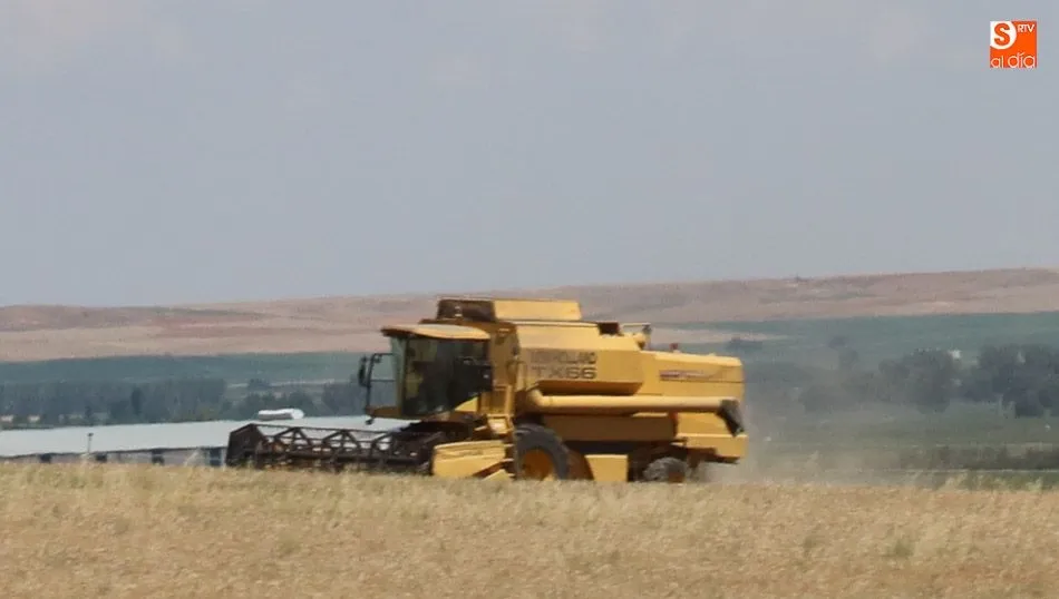 A pesar de la excelente cosecha, España es un país deficitario. Foto: Alberto Martín
