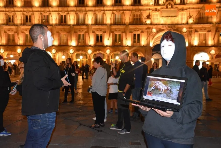 Foto 3 - Protestan contra el maltrato que sufren los perros de caza