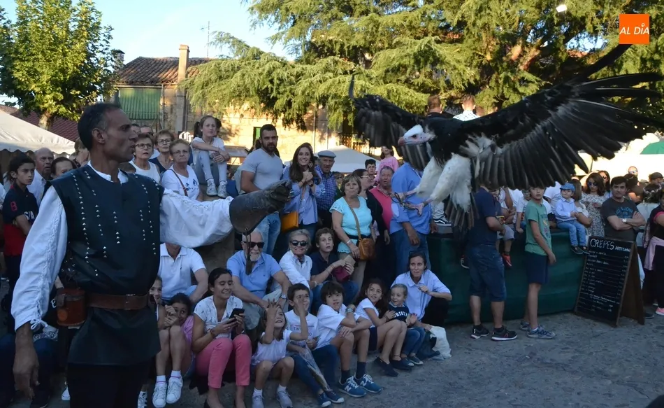 Gran expectación en las exhibiciones de cetrería de Las Águilas de Valporquero  