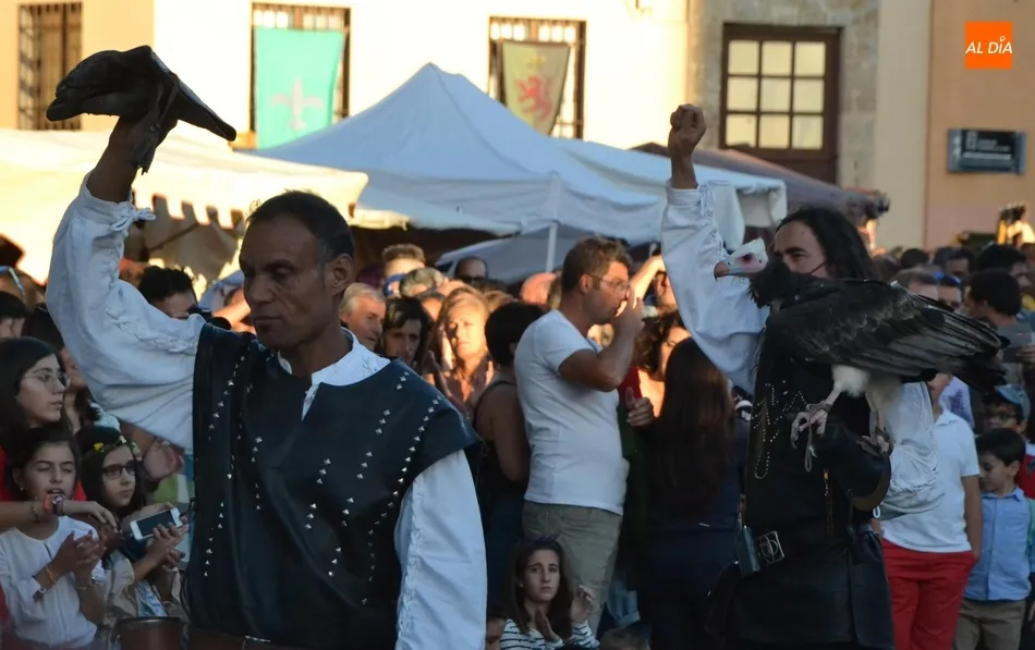 Foto 10 - Gran expectaci&oacute;n en las exhibiciones de cetrer&iacute;a de Las &Aacute;guilas de Valporquero  