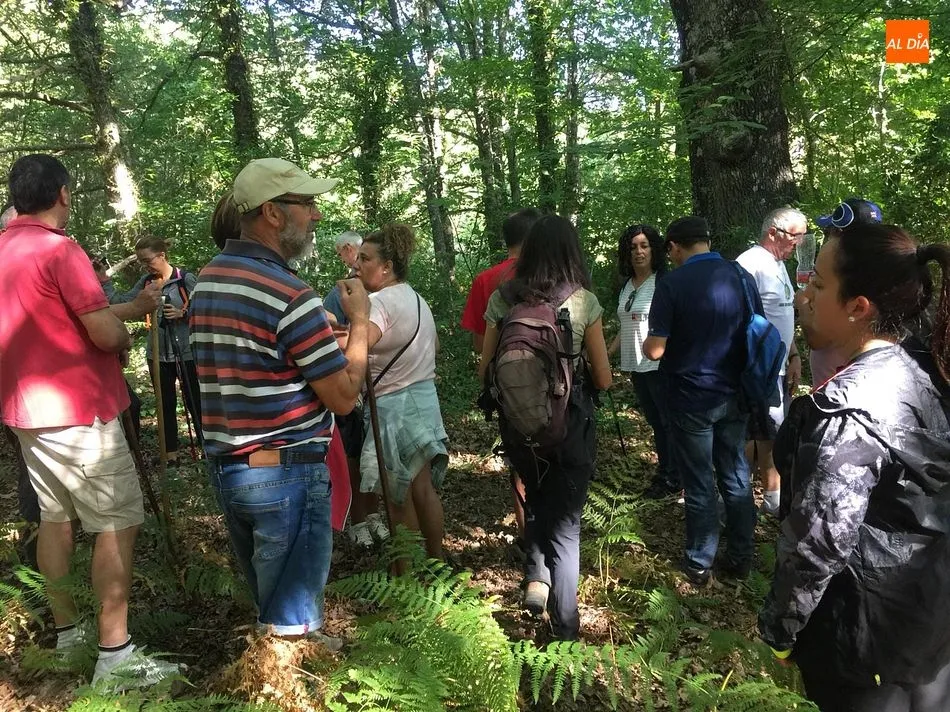 Foto 10 - Madro&ntilde;al vive una intensa jornada de la Ruta del Vino