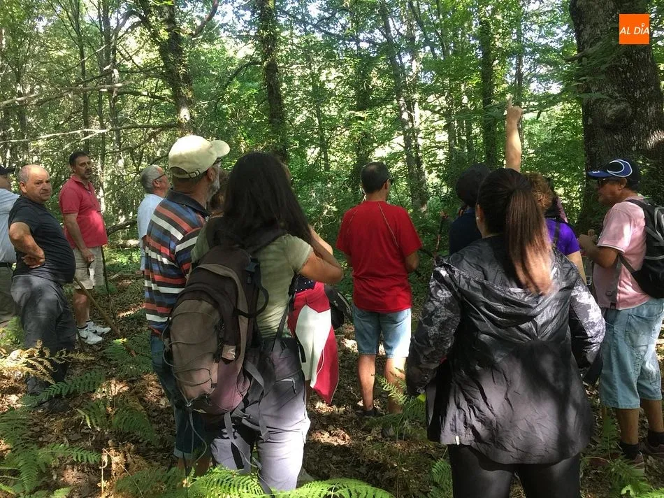 Foto 9 - Madro&ntilde;al vive una intensa jornada de la Ruta del Vino