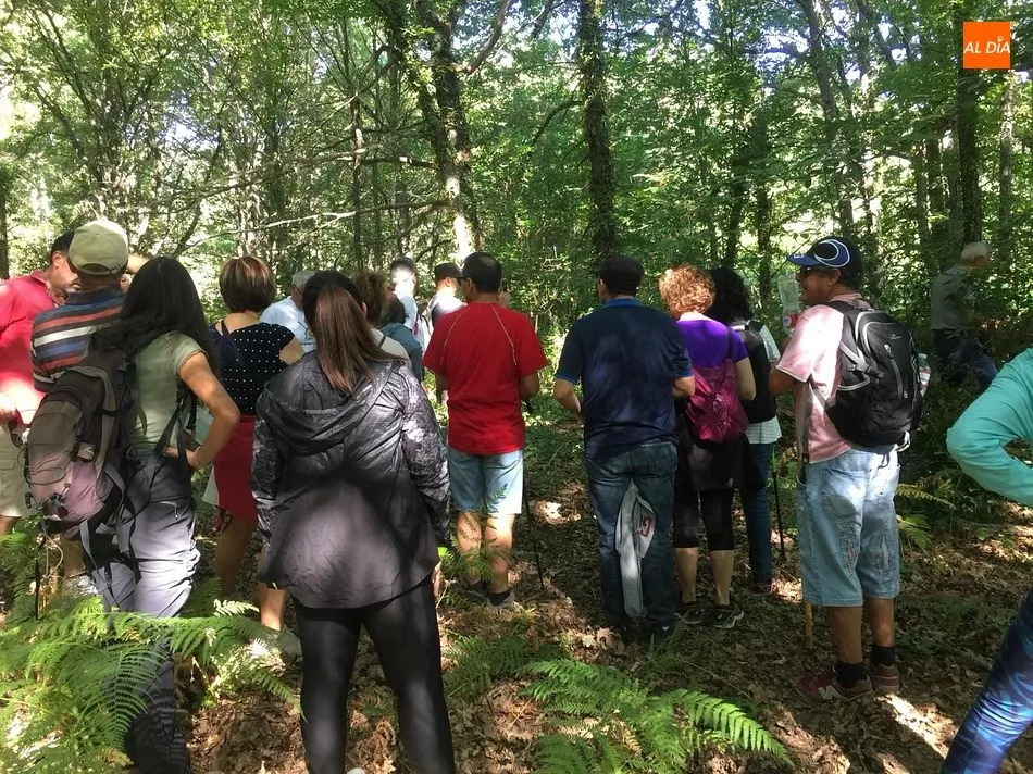 Foto 8 - Madro&ntilde;al vive una intensa jornada de la Ruta del Vino