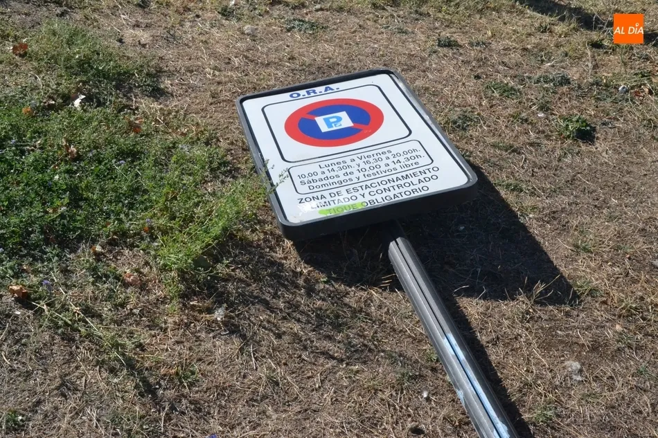 1Foto: Poco cerebro, mucho vandalismo  