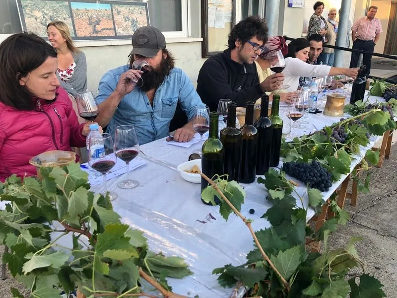 Foto 3 - El&nbsp;IX Concurso de Vinos Caseros &lsquo;Sabor de Arribes&rsquo; ya tiene ganadores