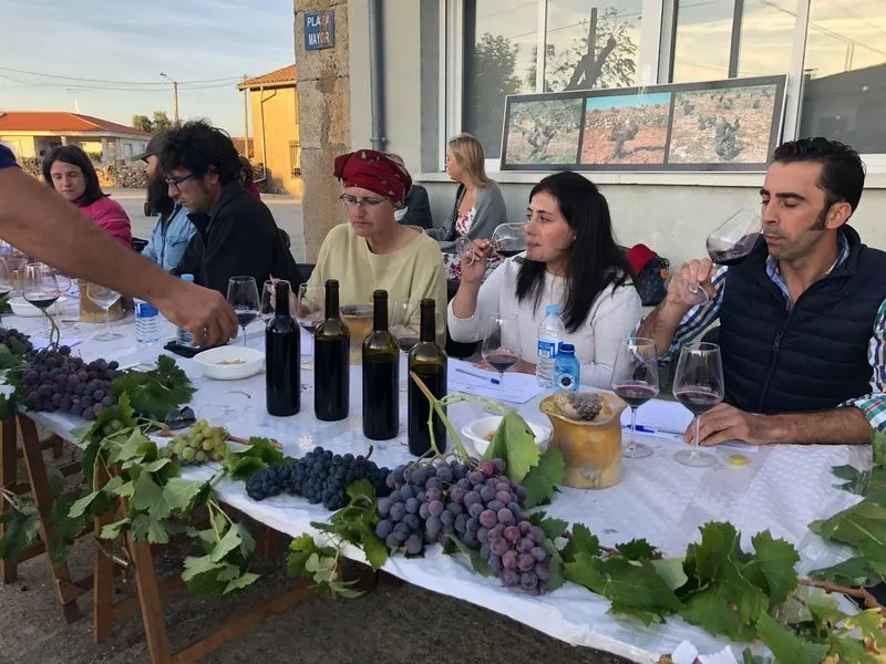 Foto 2 - El&nbsp;IX Concurso de Vinos Caseros &lsquo;Sabor de Arribes&rsquo; ya tiene ganadores