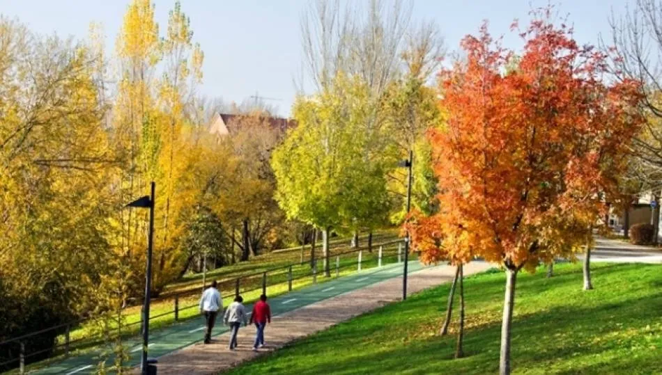 Los colores del otoño en Salamanca. Foto: Manuel Lamas