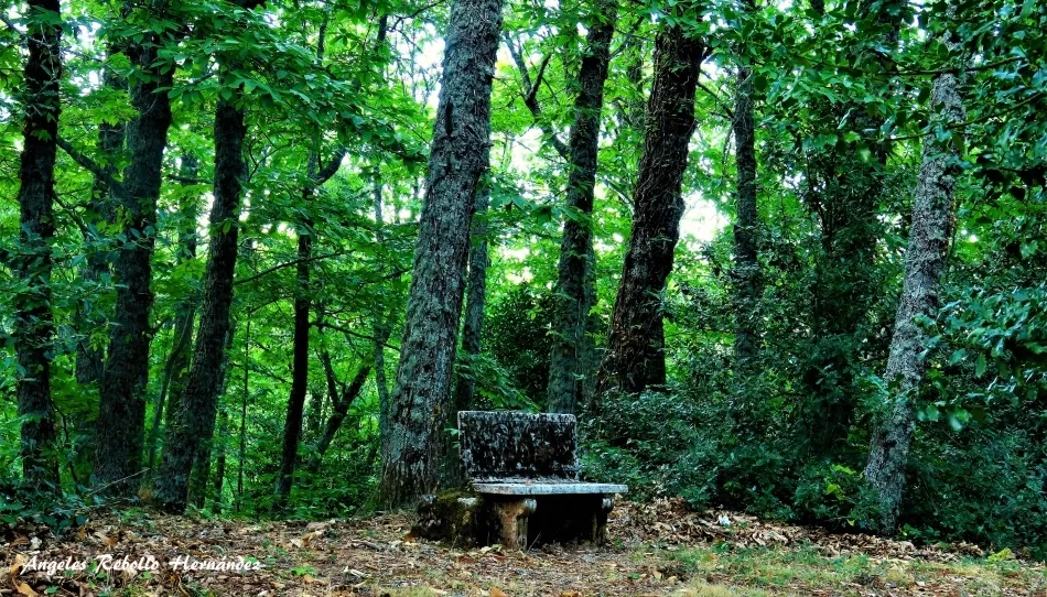 Esperando la impronta dorada