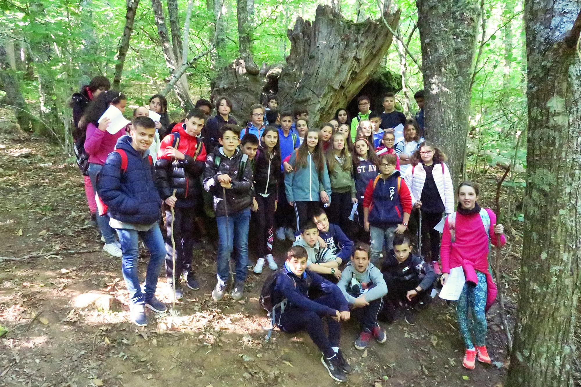 Foto 6 - Alumnos del IES Leonardo Da Vinci realizan una excursi&oacute;n al bosque de la Honfr&iacute;a y Pico Cervero