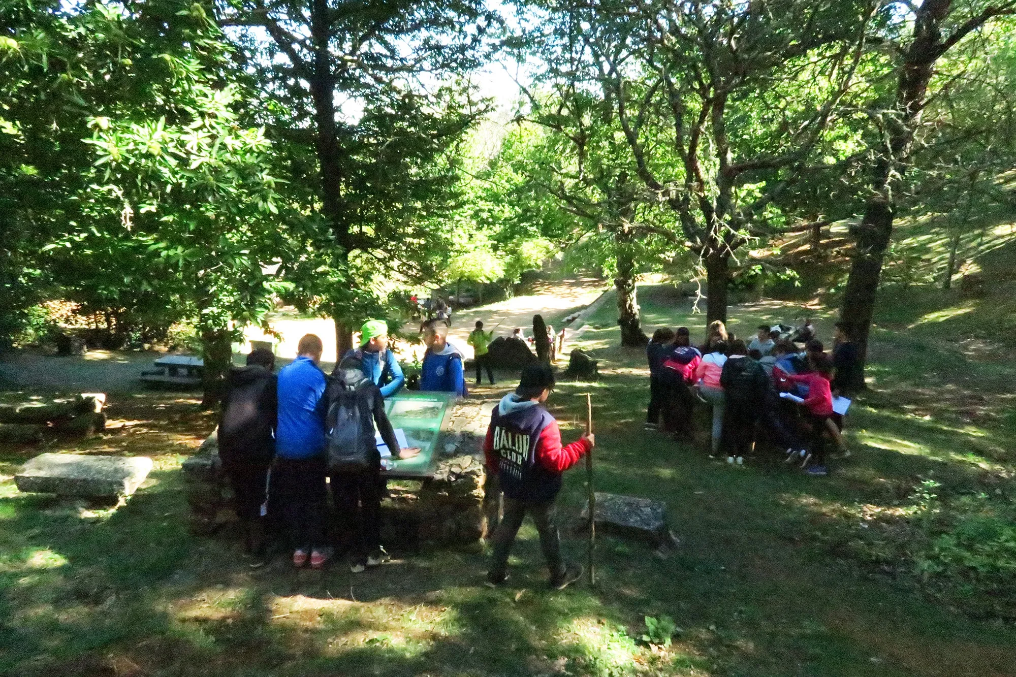 Foto 4 - Alumnos del IES Leonardo Da Vinci realizan una excursi&oacute;n al bosque de la Honfr&iacute;a y Pico Cervero