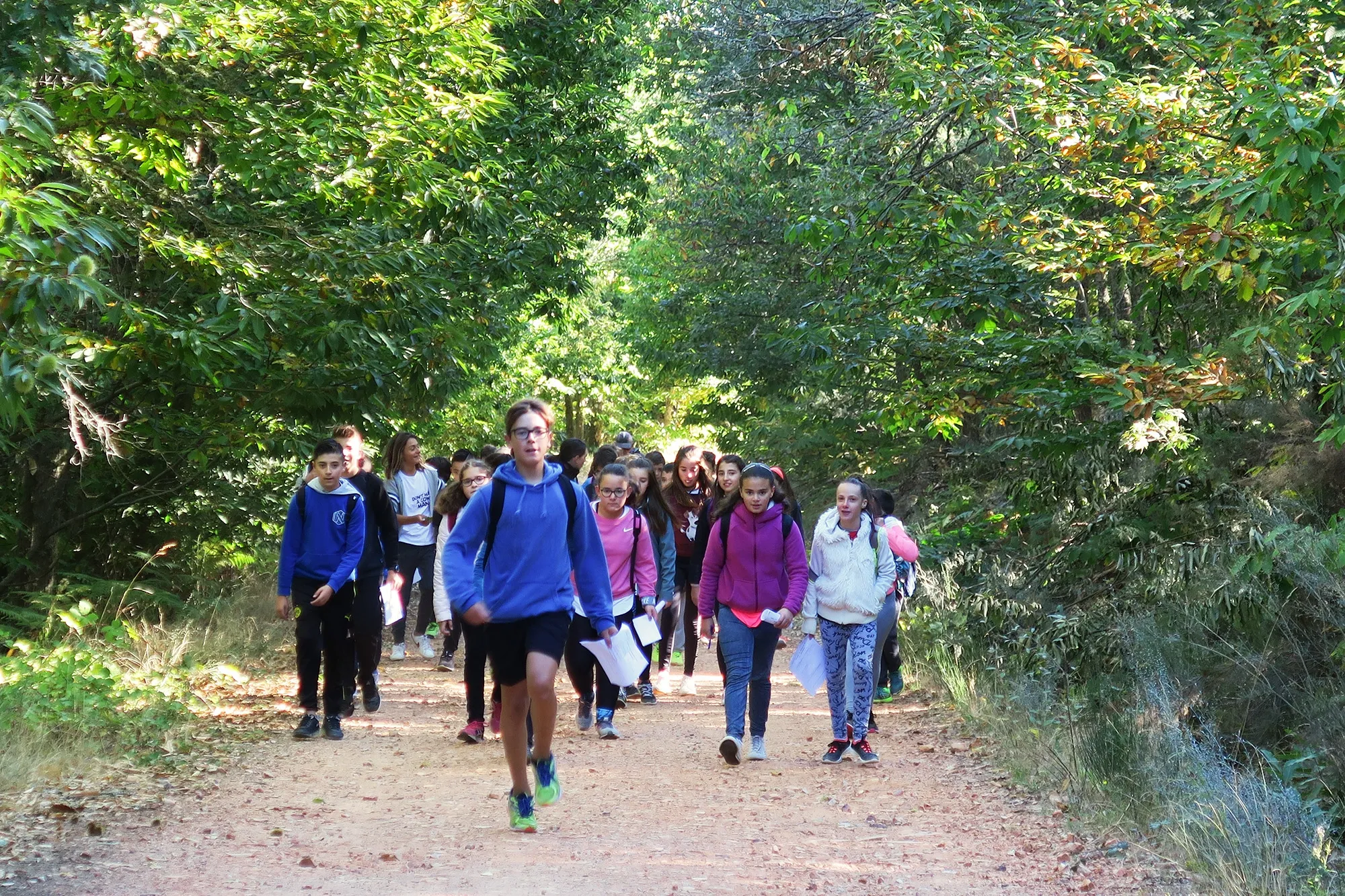 Foto 3 - Alumnos del IES Leonardo Da Vinci realizan una excursi&oacute;n al bosque de la Honfr&iacute;a y Pico Cervero